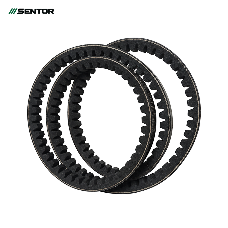 Raw Edge Cogged V-Belts — reference view 1