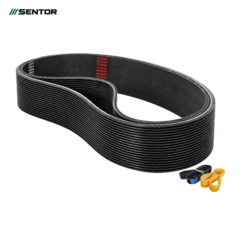 PM Belts — reference view 1