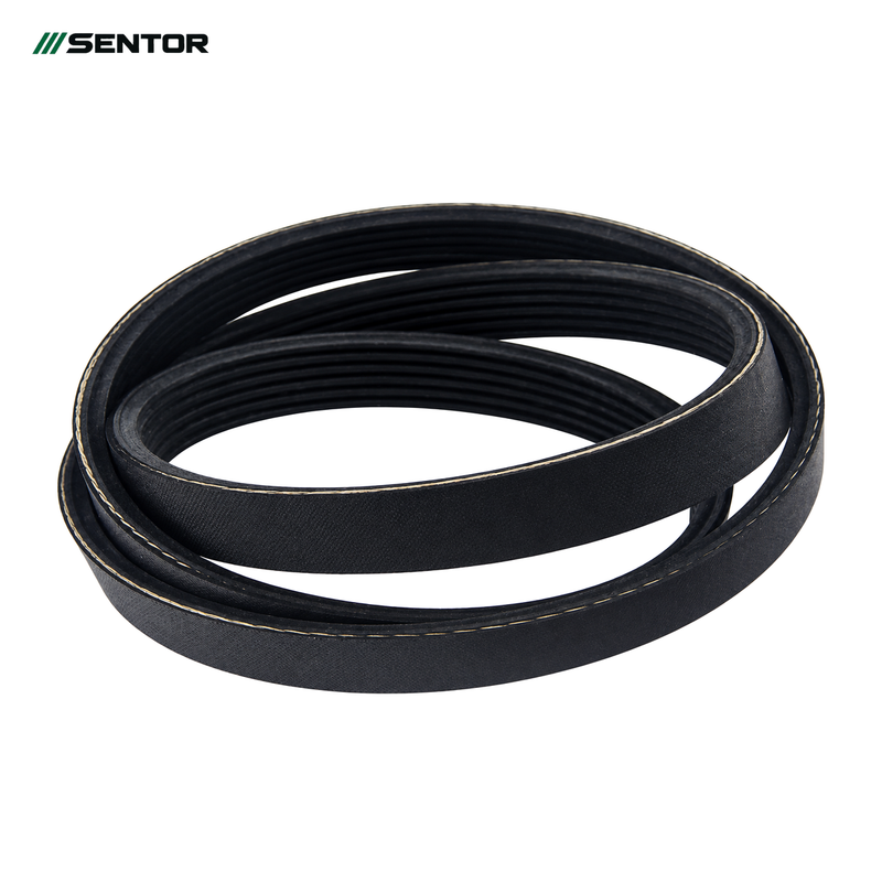 PK Belts — reference view 1